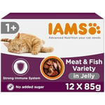 IAMS Delights Complete Wet Cat Food for Adult 1+ Cats Meat and Fish Variety in Jelly Multipack 12 x 85 g Pouches