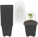 GIONAR 10PCS Plant Nursery Pots with Humidity Dome 7.6cm/3inch Plastic Gardening Pot Plant Container, Plastic Square Flower Starting Pots