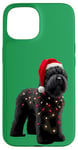 Coque pour iPhone 15 Chapeau de Père Noël Terrier Russe Noir Lumières de Noël Propriétaire Chien