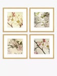 John Lewis Print Punk Studio 'Vintage Blossom' Framed Print & Mount, Set of 4, 32 x 32cm, Multi