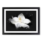 Big Box Art Blooming White Magnolia Paint Splash Framed Wall Art Picture Print Ready to Hang, Black A2 (62 x 45 cm)