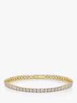 Jools by Jenny Brown 3mm Cubic Zirconia 59 Stone Tennis Bracelet, Gold