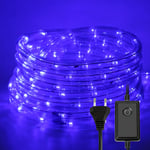 30M Tube Lumineux Extérieur led Guirlande Lumineuse Décoration,Bleu,avec Adapteur d'alimentation - Swanew