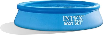 Intex 8 ft x 24 in Easy Set Pool Set