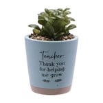 Widdop Teacher Thank You For Helping Me Grow Faux Plant Gifts for Teachers