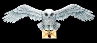 Wall Relief Harry Potter - Owl Hedwig - Fantasy Decorations Merchandise 17cm