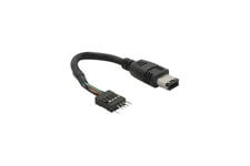 Delock - IEEE 1394-kabel - 6 pin FireWire till IEEE 1394-huvudenhet - 16.5 cm