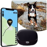 Paj Gps - pet Finder 4G 2.0 Black Tracker gsm 1 pc(s)