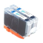 2 Cyan Ink Cartridges for Canon PIXMA iP4500 iP6700D MP530 MP600R MP810 MX850