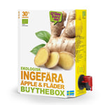 Ingefära Äpple Fläder Juice Eko BiB