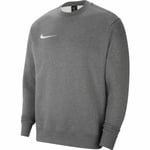 Sweatshirt til Børn PARK 20 FLEECE CREW  Nike CW6904 071 Grå 14 år