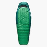 Sea to Summit Sleepbag Down Ascent -9C/15F Long