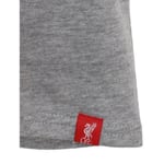 Liverpool FC Crest T Shirt Mens Grey SMALLOfficial Merchandise NEW UK