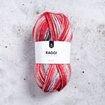 Raggi Garn Ullmix 100 g Winter Bird (15245) Järbo