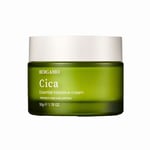 8809414192194 Cica Essencial Intensive Cream krem do twarzy z wąkrotką azjatycką