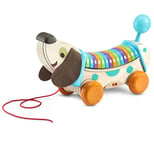 VTech VTech-80-615222 Eco Chien pour Enfants, promenades, découvrir des Paroles et des chansons, Jouet à Tirer pour bébés à partir de 12 Mois, Version espagnole, Multicolore, Unique (80-615222)