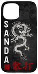 iPhone 15 Dragon Sanda Chinese Boxing Case