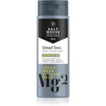 Salt House Dead Sea Men shower gel 3-in-1 250 ml