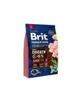 Brit Premium by Nature Junior L täysravinto koirille 3kg