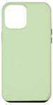 iPhone 14 Pro Max pastel green Case