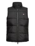 Dickies Waldenburg Vest Svart