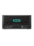 Hewlett Packard Enterprise ProLiant MicroServer Gen10 Plus v2 Entry