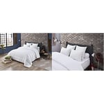 Dodo Couette Noblesse - Chaude - 220 x 240 cm & Oreiller MAXICONFORT Thermolite Ultra - Moelleux - 60 x 60 cm, Blanc