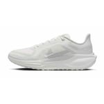 Nike Pegasus 41 Gore-tex, storlek 40½