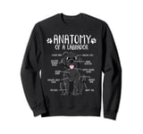 Funny Anatomy Labrador Retriever Black Lab Dog Owner Sweatshirt