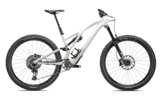 Specialized Stumpjumper EVO Expert S2