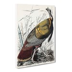 Wild Turkey By John James Audubon Vintage Canvas Wall Art Print Ready to Hang, Framed Picture for Living Room Bedroom Home Office Décor, 24x16 Inch (60x40 cm)