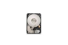 Lenovo - Disque dur - 600 Go - échangeable à chaud - 2.5" - SAS 12Gb/s - 10000 tours/min - pour ThinkAgile MX3330-H Appliance; MX3331-H Certified Node; ThinkSystem SR250 V2; ST250 V2