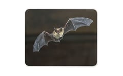 British Pipistrelle Flying Bat Mouse Mat Pad - Carnivore Computer Gift #15730