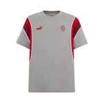 PUMA AC Milan T-Shirt Ftbl Archive, Enfants et Garçons, Unisexe, Concrete Gray - Tango Red, 14 Ans