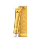 Teinture permanente Igora Royal Absolutes Schwarzkopf 7-560 Age Blend [60 ml]