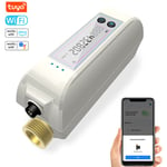 Lifcausal - Tuya WiFi Intelligent Watervalve Débitmètre à double bande Contrôle par application mobile Appareil de gestion efficace de l'eau