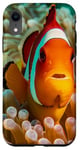 Coque pour iPhone XR Corail Véritable poisson clown