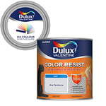 Ma Couleur Sur-Mesure par Dulux Valentine – Peinture Intérieure Murs, Plafonds, Boiseries - Palette Jeu, Pièce à Vivre Mat, Gris Tendance, 0,5 L