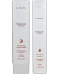 Healing Volume Thickening Duo, 300+250ml