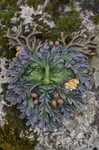 97204   FIGURINE TROLL WOODY MURAL   ARBRE FORET CHOUETTE HEROIC FANTASY FEE