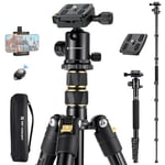 K&F Concept 72"/184cm Camera Tripod, Lightweight and Compact Tripod with Ball Head, Travel Tripod for DSLR with Phone Holder, Remote Control and Quick Release Plate*2, Load Capacity 10kg/22lbs