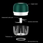 250mL Mini Electric Garlic Chopper Multi-function Food Chopper USB Charging G