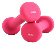 Shengluu Weights Dumbbells Sets Women Rubber Dumbbell Weights For Women And Men (Color : Pink, Size : 20KG)