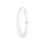 Ledvance LED cirkellysrör T9 4000K 1320lm G10q 11W (22W)