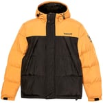 Blouson Timberland  -