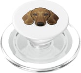 Visage de teckel Teckel mignon Chien de race Animal Kids PopSockets PopGrip pour MagSafe