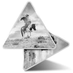 2 x Triangle Stickers  7.5cm - BW - Kazakh en Eagle Hunter Man  #35917