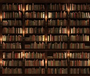 Bookshelf Seamless texture vertically and horizontally