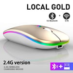 Souris de jeu sans fil,Rechargeable par USB,2.4GHz,rvb,1600DPI,pour ordinateur portable,tablette,PC,Macbook - Type Gold