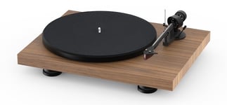 Pro-Ject Debut Carbon Evo Turntable with Ortofon 2M Red Cartridge - Walnut